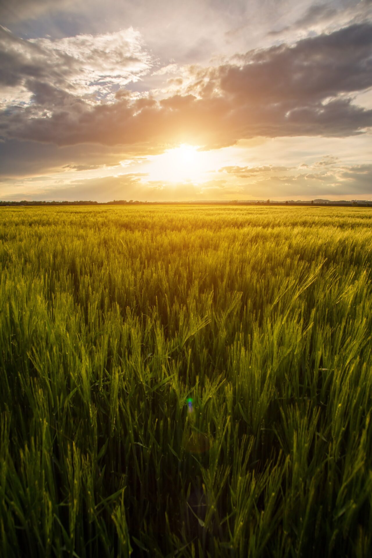 business-man-financial-inspector-secretary-making-report-calculating-checking-balance-internal-revenue-service-inspector-checking-document-audit-concept_1423-128